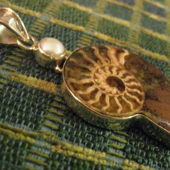 FOSSIL Pendant Shell Beautiful - Picture 2 of 5